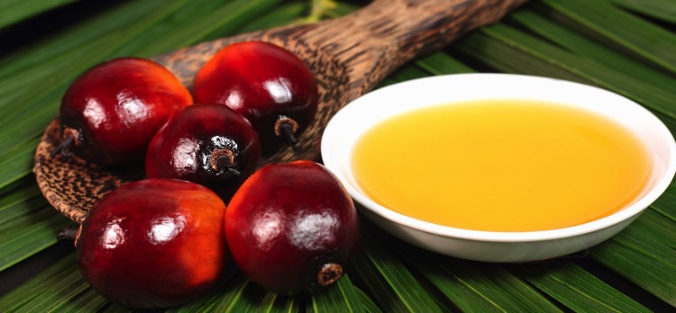 Crude Palm Oil Import In India