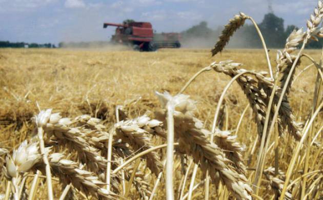 Import Duty on Wheat