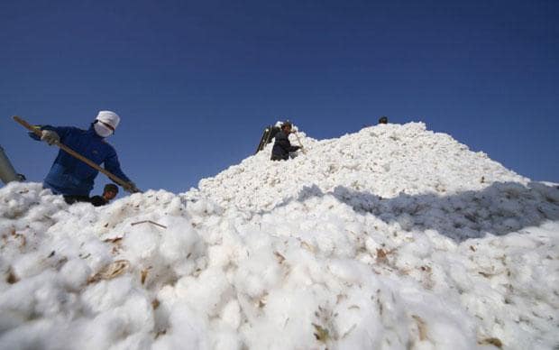 Cotton Prices